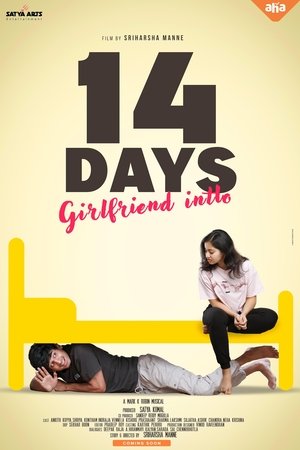 14 Days (Girlfriend Intlo) (2025) Hindi (MULTI AUDIO) – – 1080p