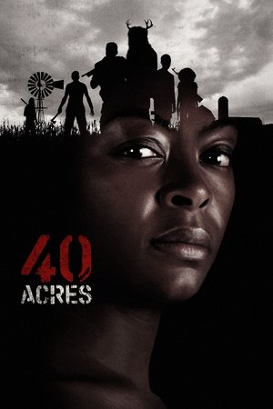 40 Acres (2025) Hindi (MULTI AUDIO) – – 1080p