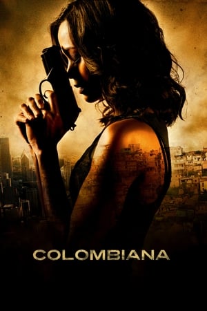 Colombiana (2011) Hindi Dual Audio [1.1GB]