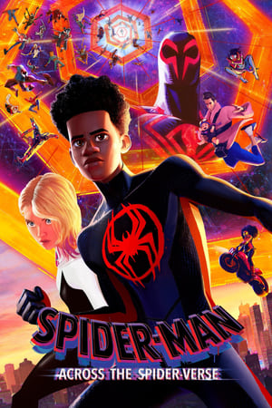 Spider-Man: Across the Spider-Verse 2023 Hindi (ORG) | 480p